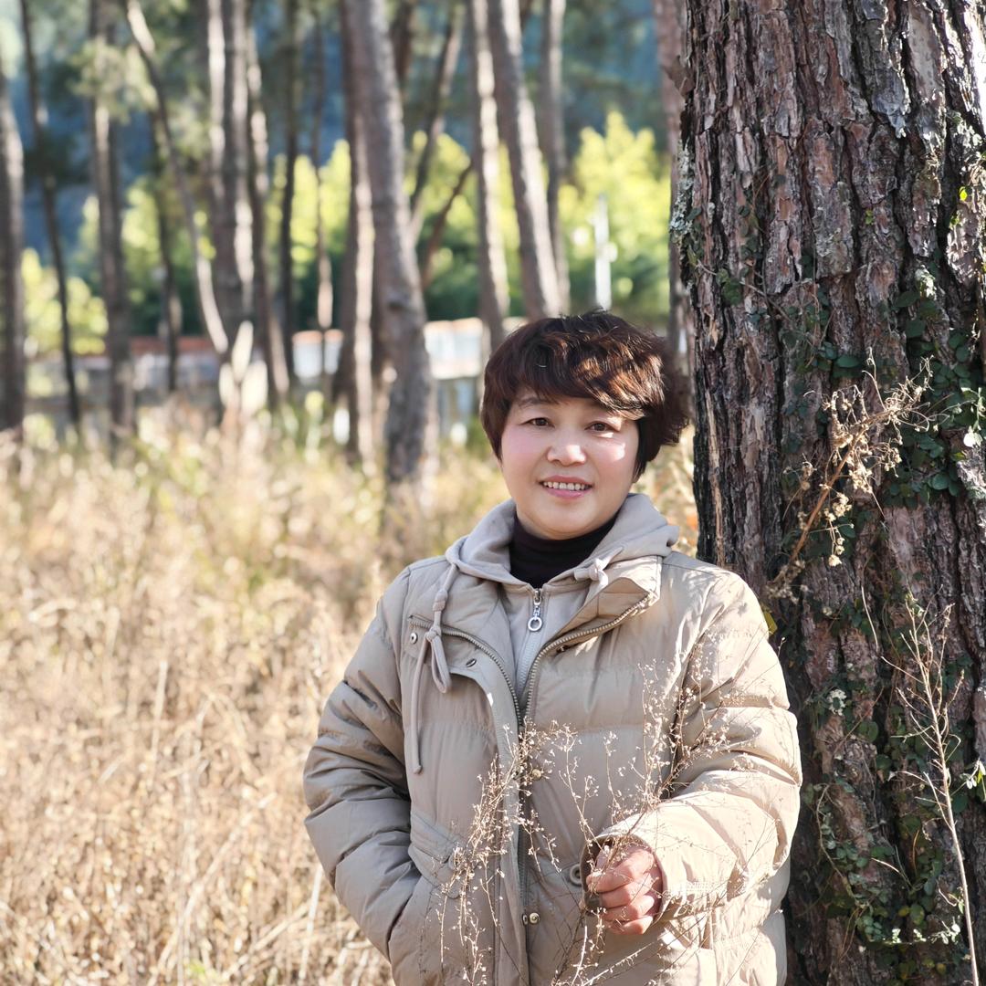 杨家四姐