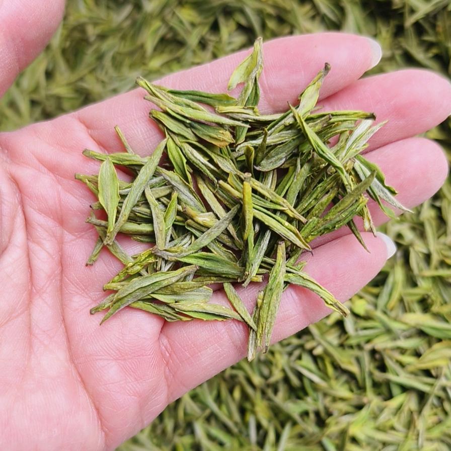饮茶🍵