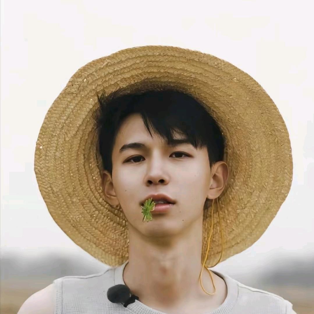 小狗楠