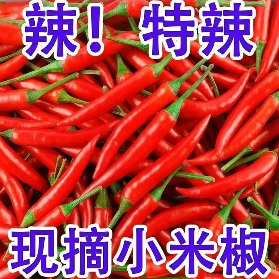 辉姐农产品