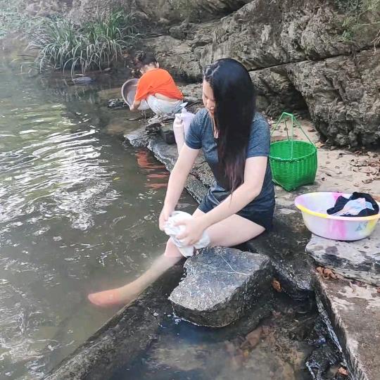 落叶