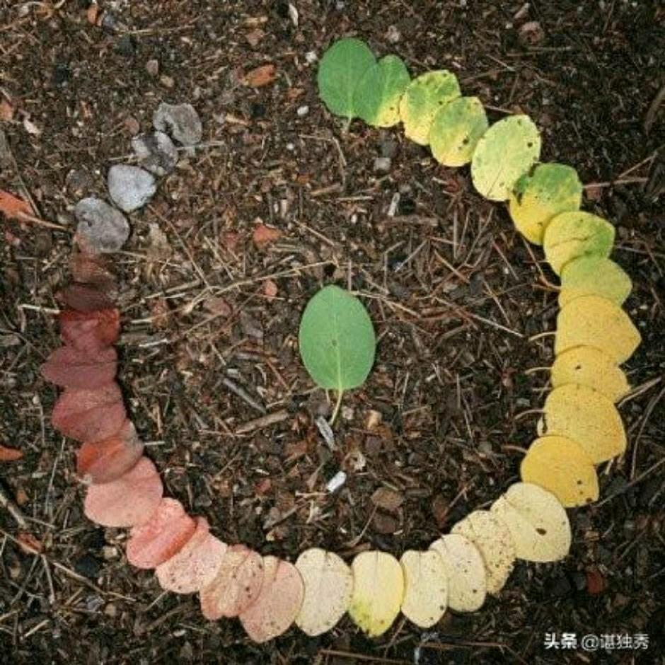 拾荒者