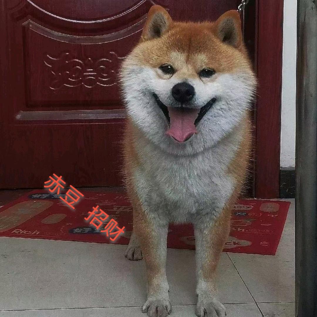 蹦波霸