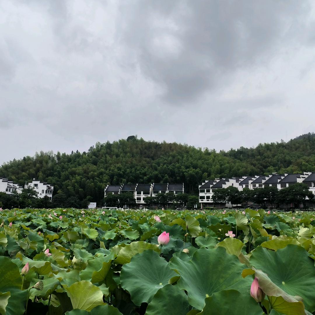 飘移