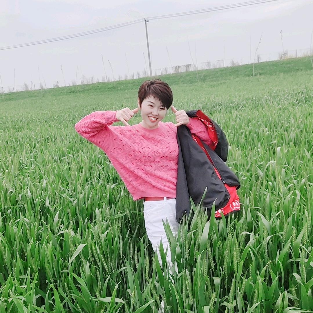 杨宝宝