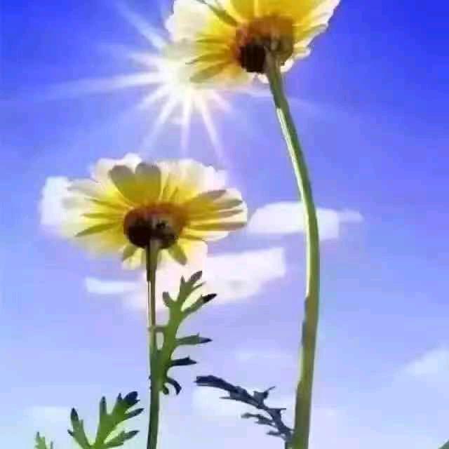 用户910603656704
