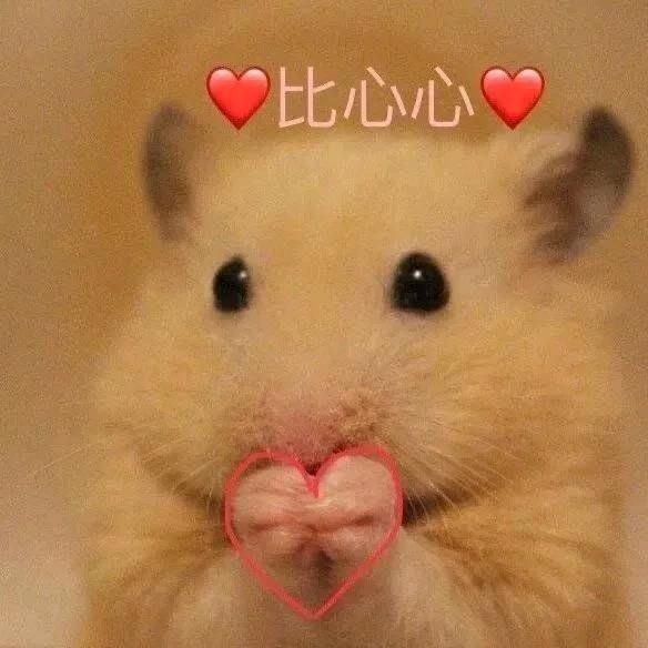 捌个百宝箱