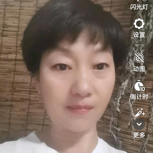 莉莉日常