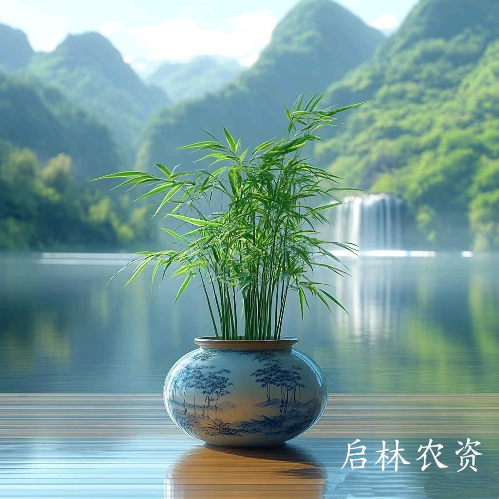 张启林《朴木启林农资》