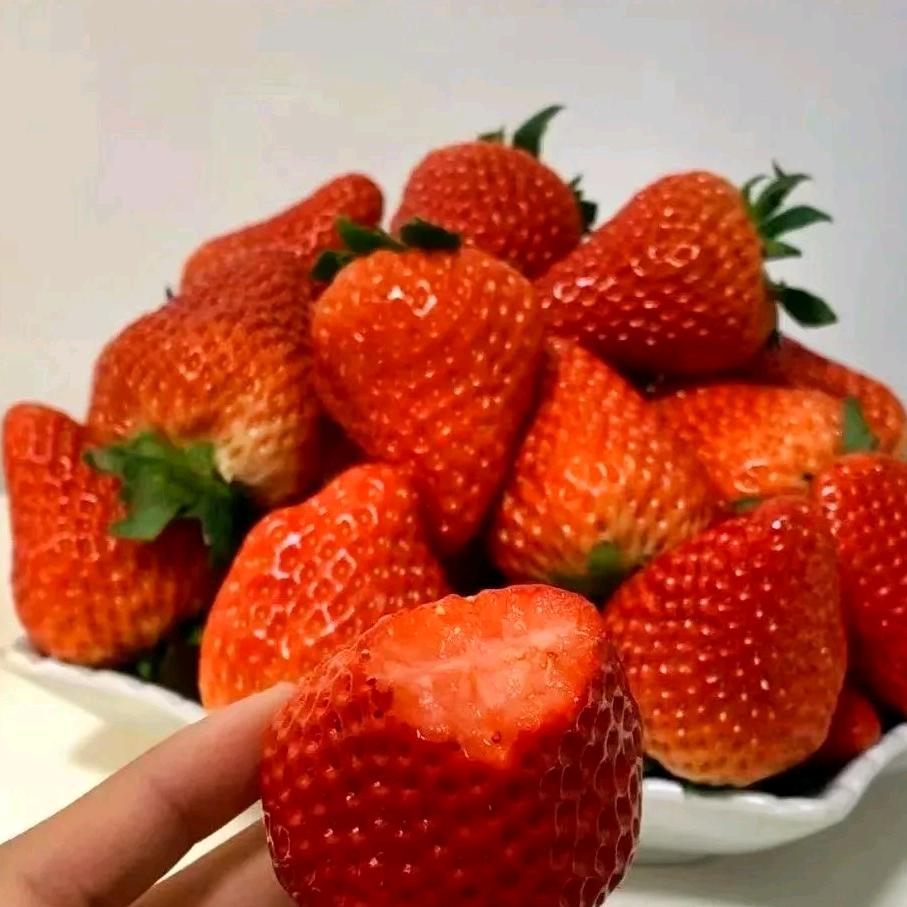 花心大草莓🍓