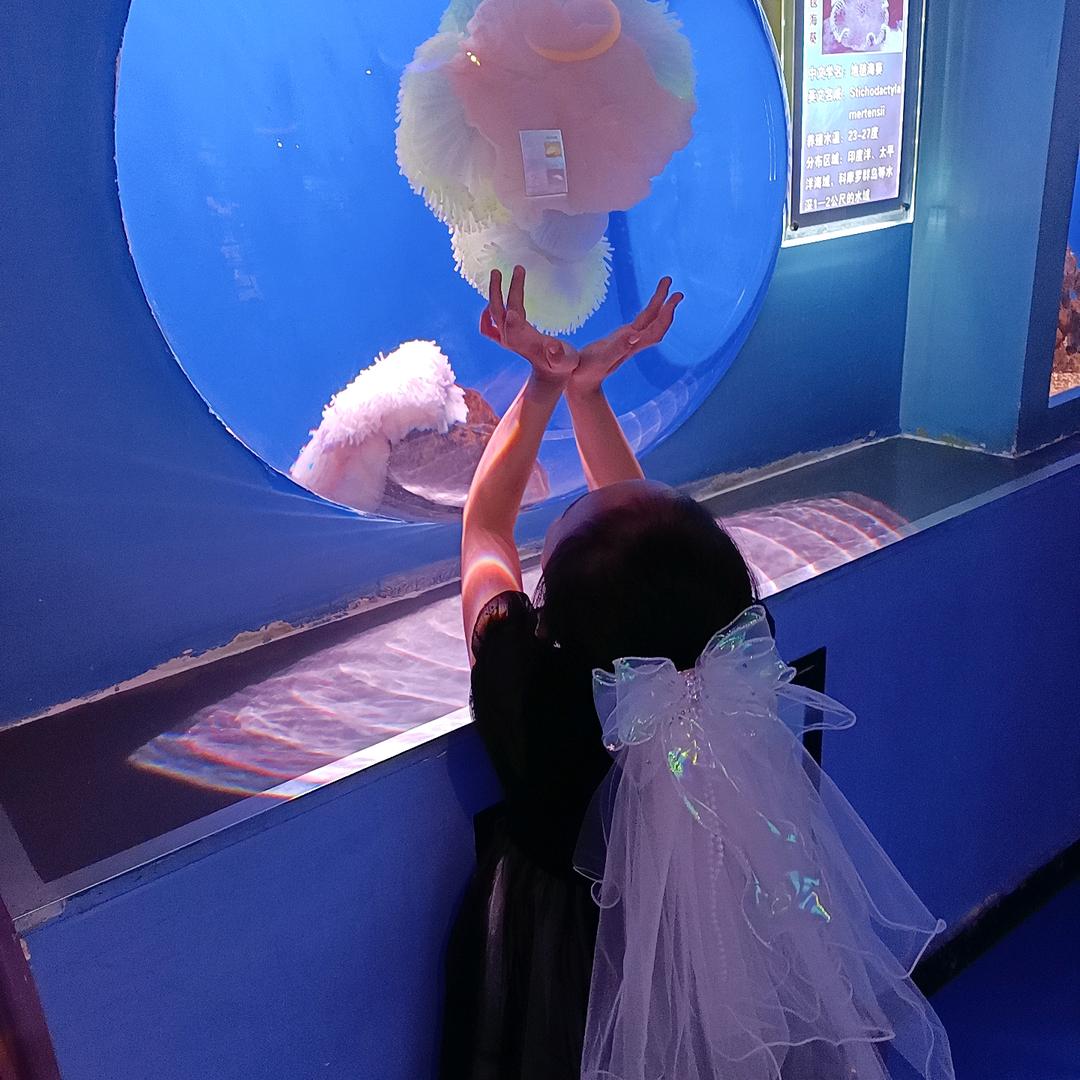 ໑ຼₒ₂₅杨杨🉐亿