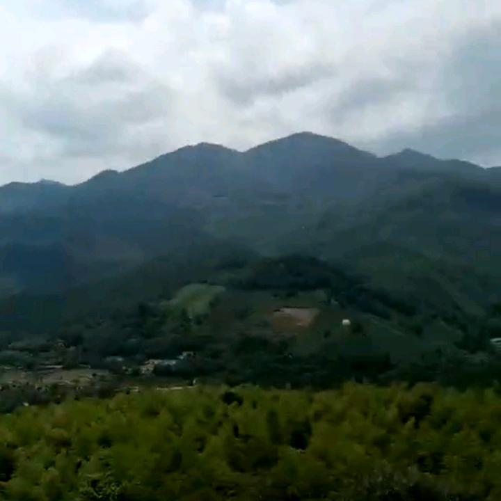 華哥