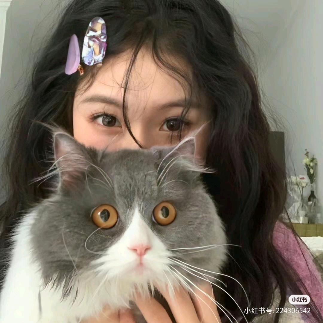 小🐟老师