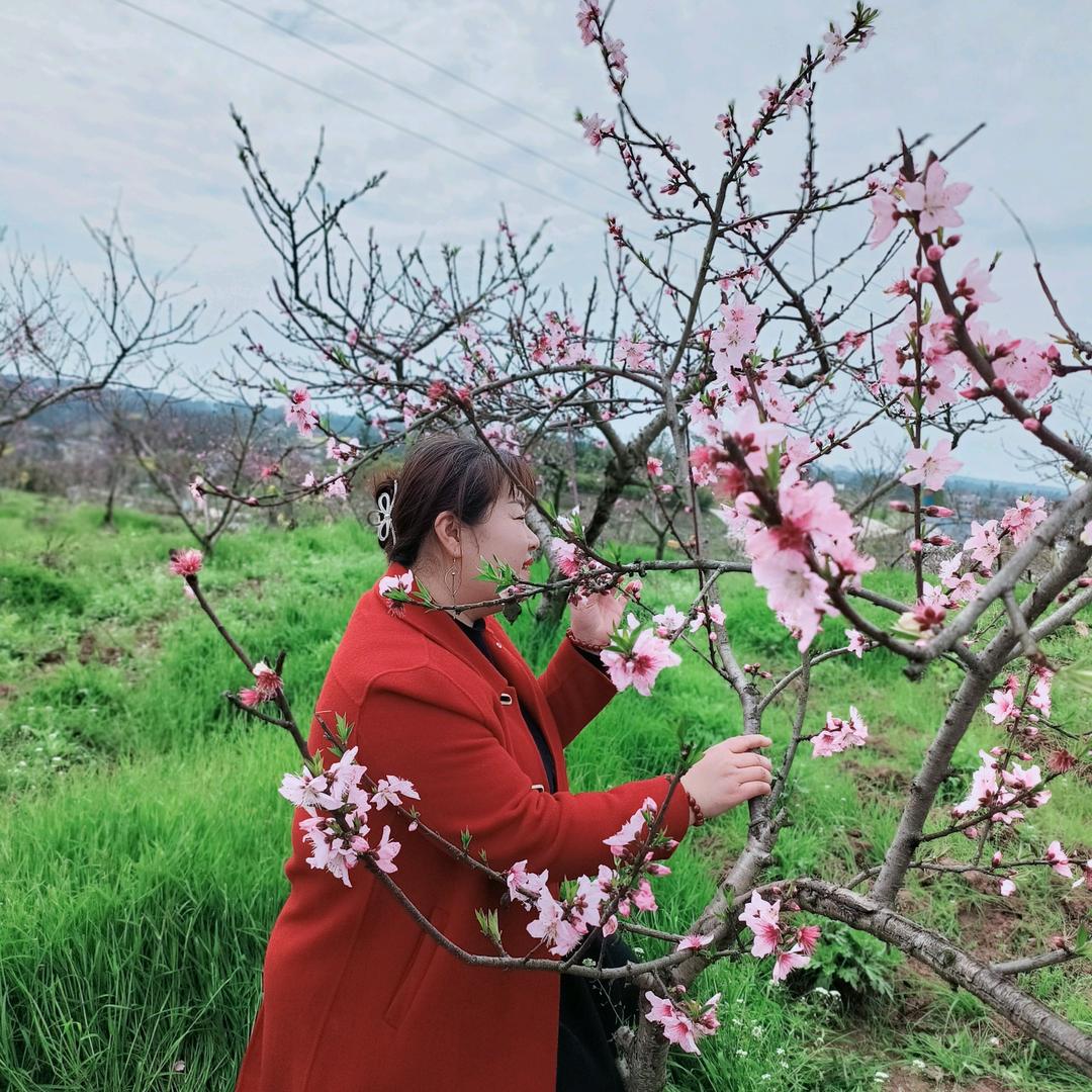 资中王姐说房
