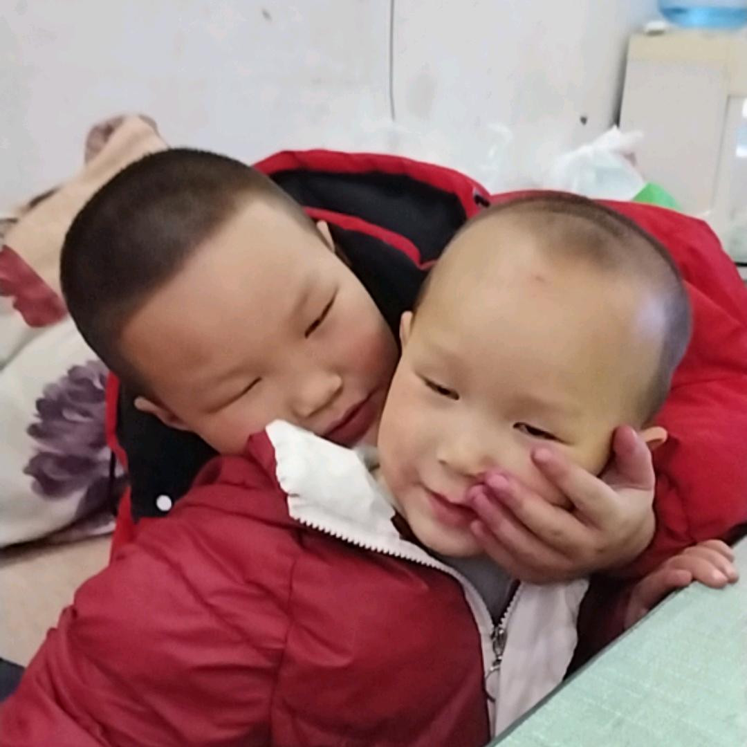 莲子🍉