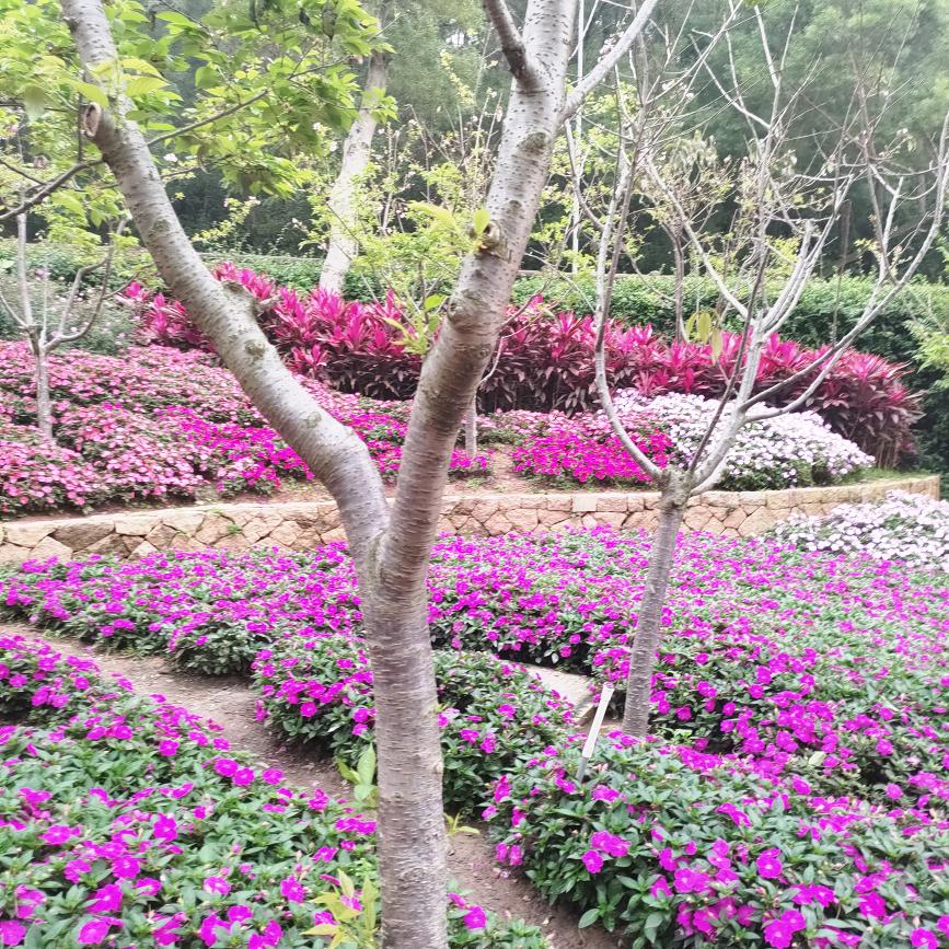 🍂享受没人爱🍂