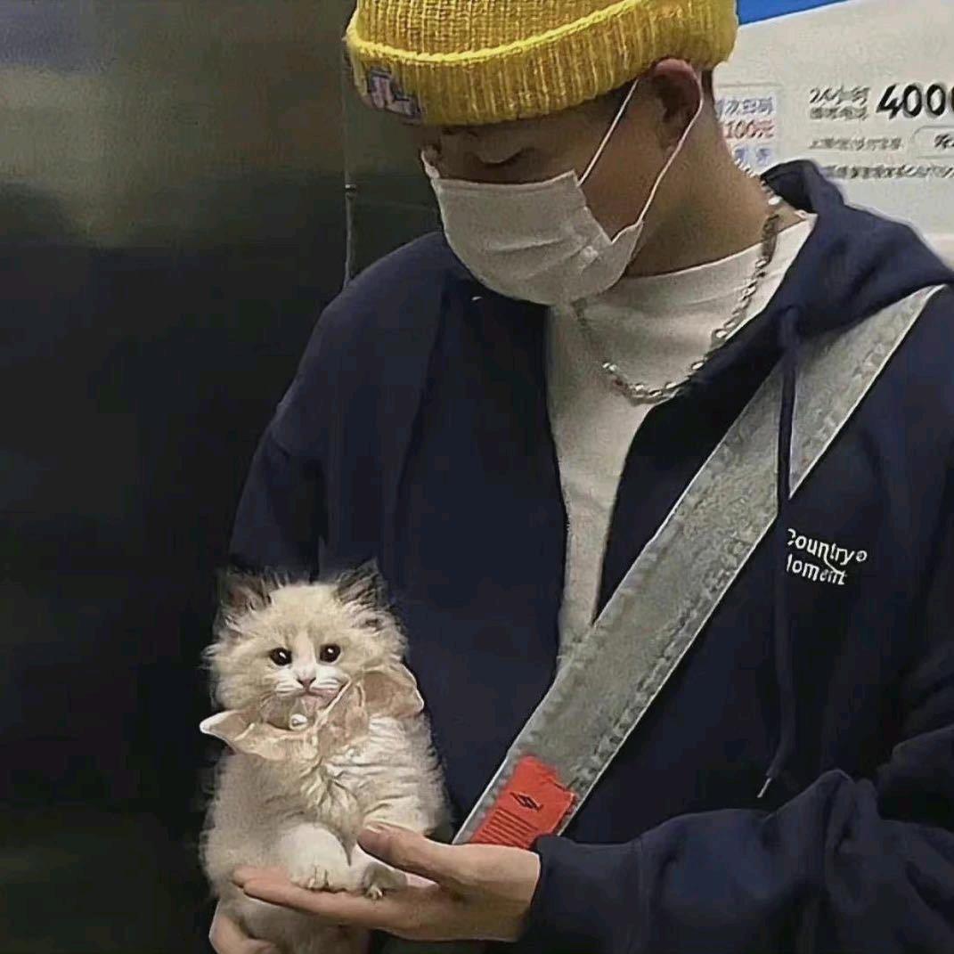 河北男孩