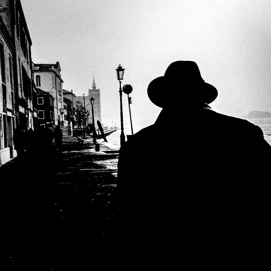 青衣傲王侯🥢（安保部）