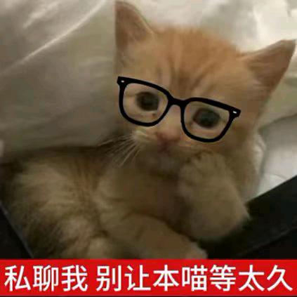 阿狸/.