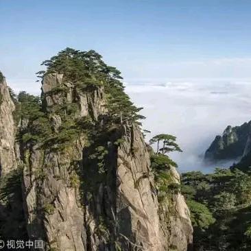 圣贤君酒业