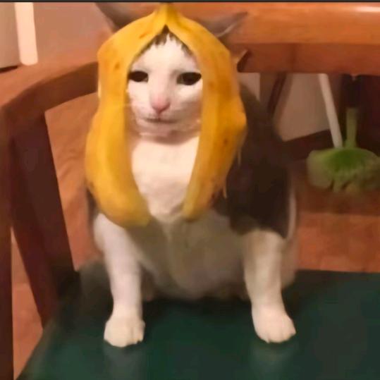 纠结的大师