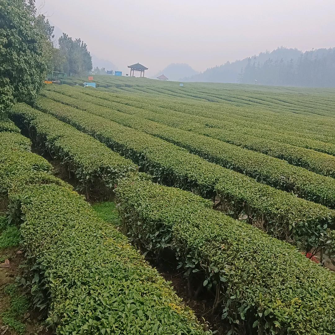 低保户