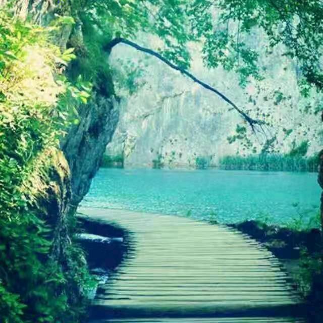 小苹果！！拼盘水果！