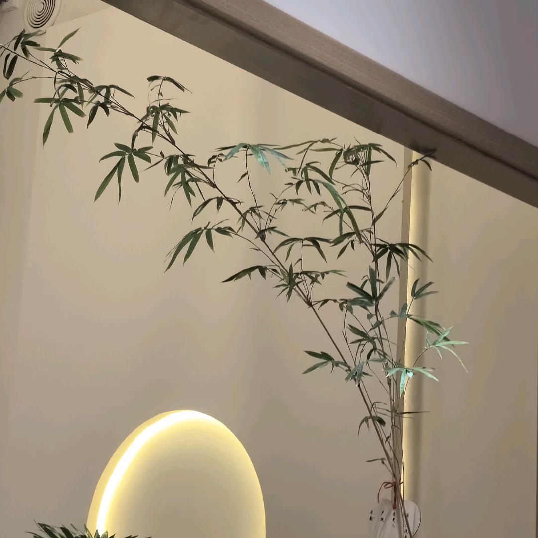 李先生🧑‍🏫