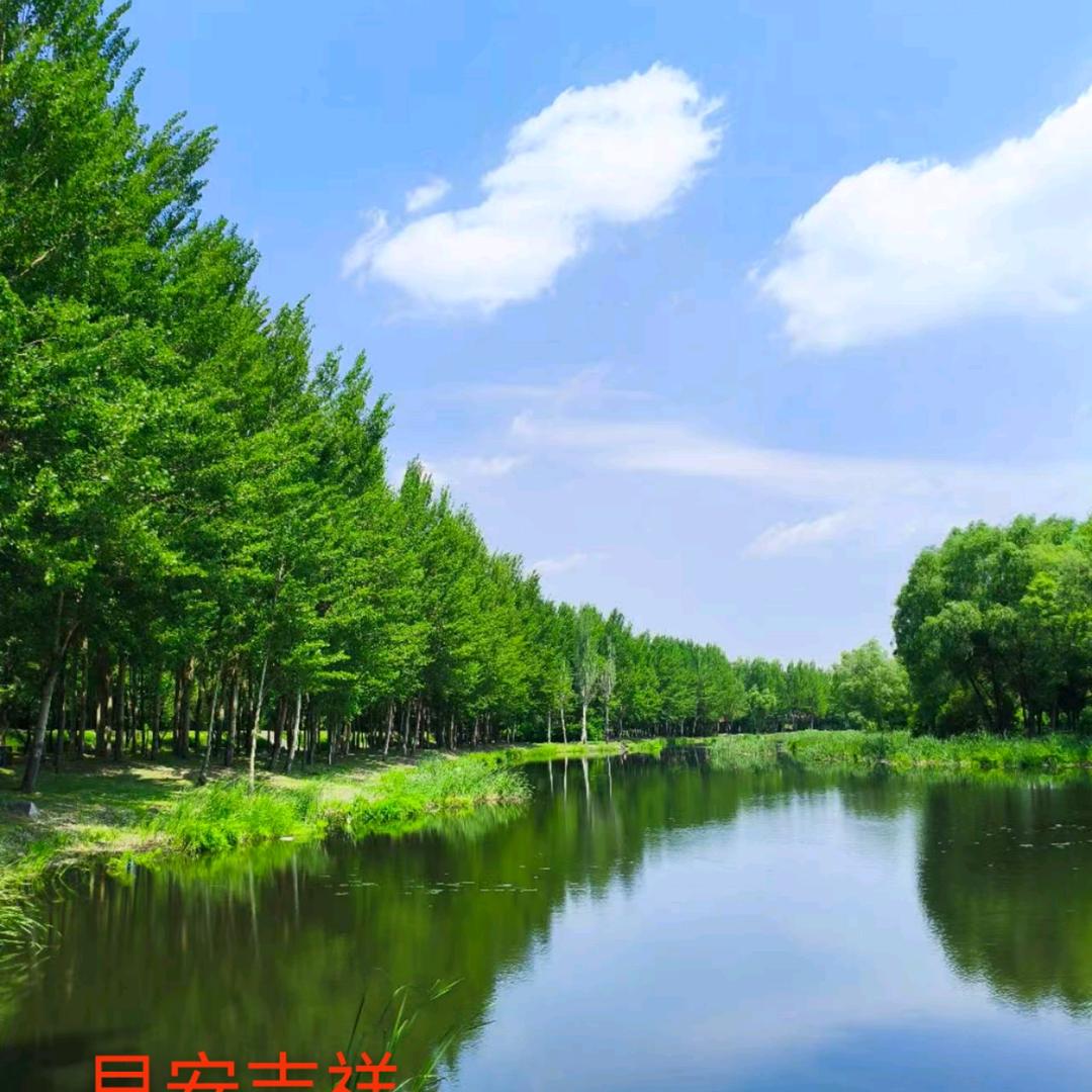 🌹上善若水🌹