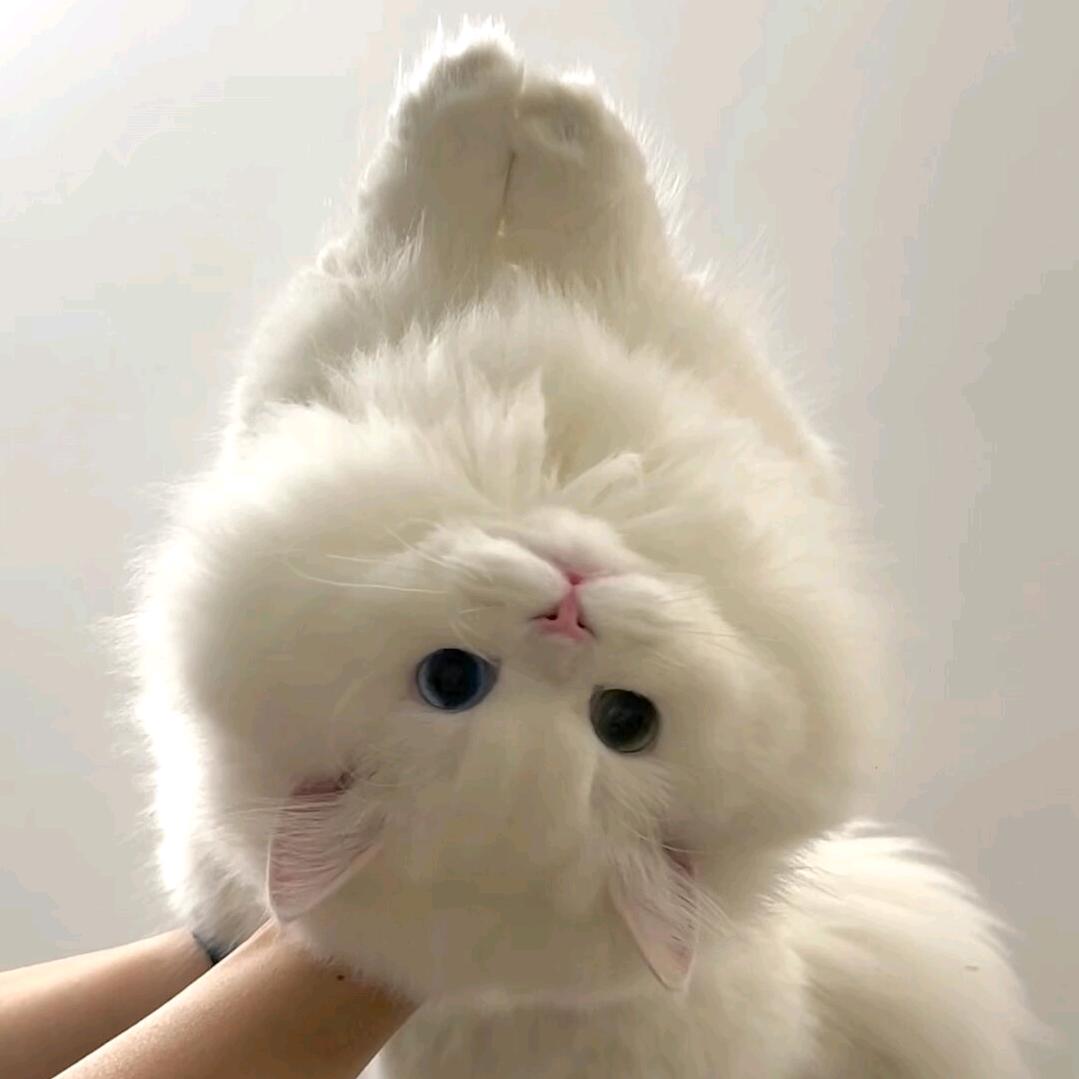 小杜很暴躁🍓
