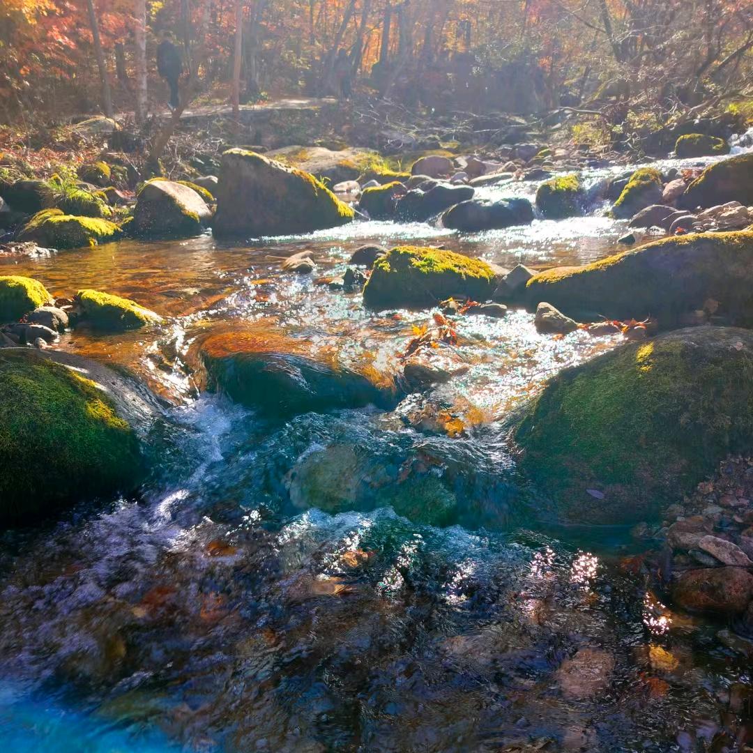 💫兜兜有💰米