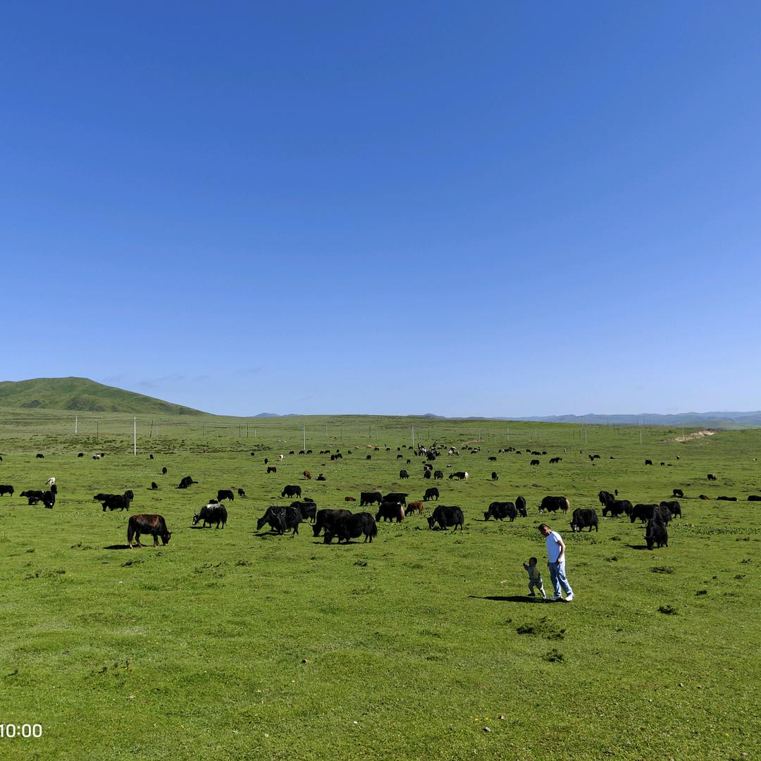 水电突击（四哥）