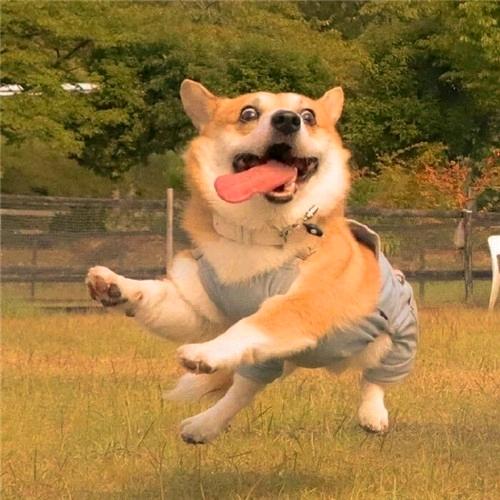 初秋下的夕阳
