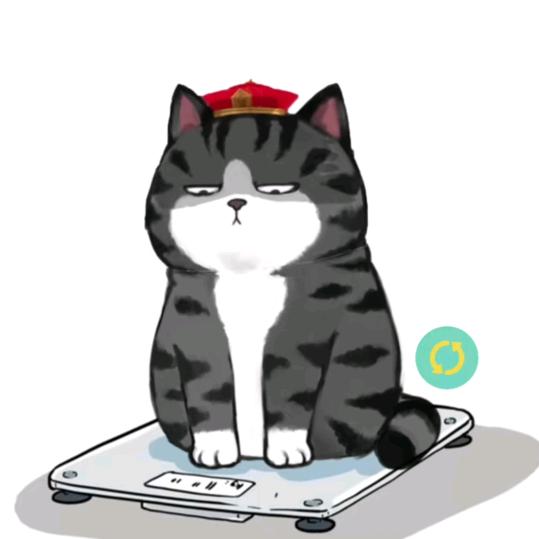 夏之星