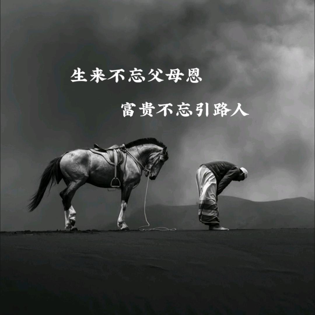 ✨陆先生✨