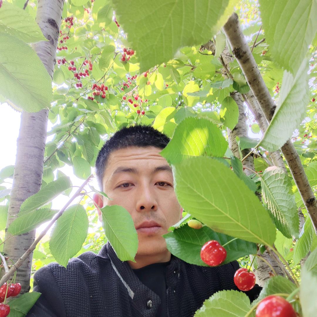 @龍影