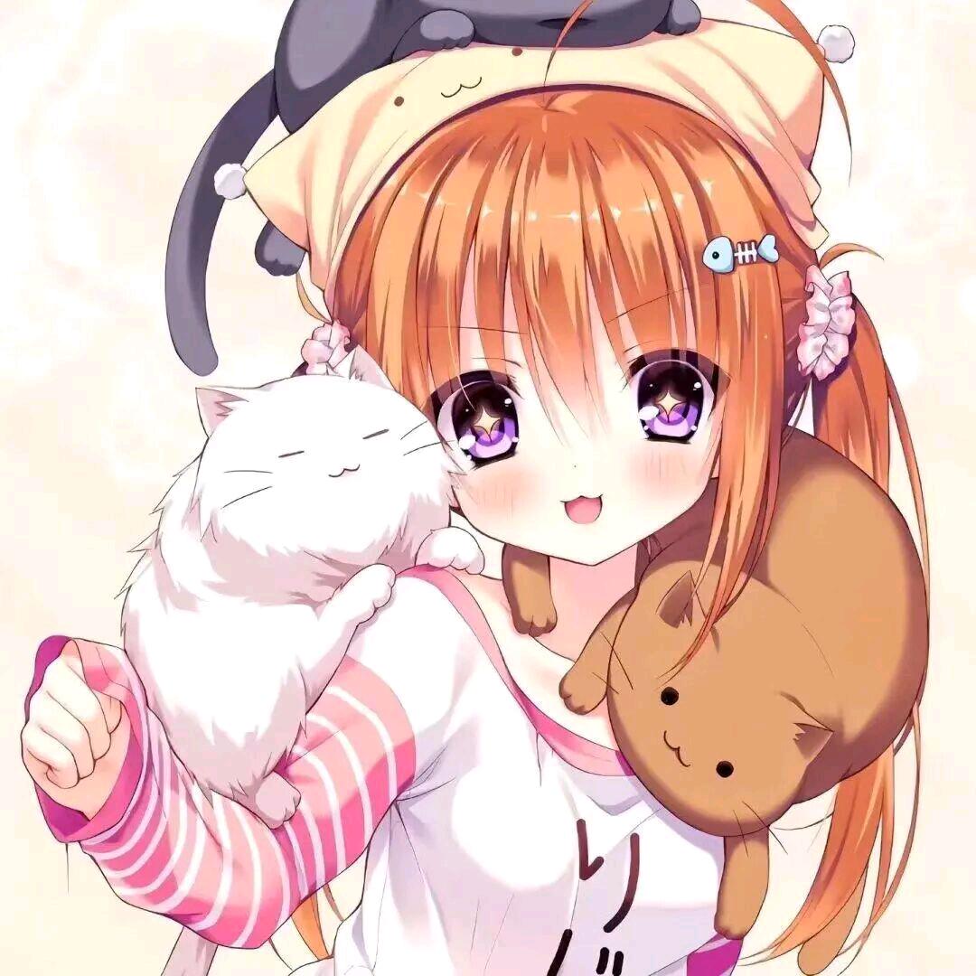 懵