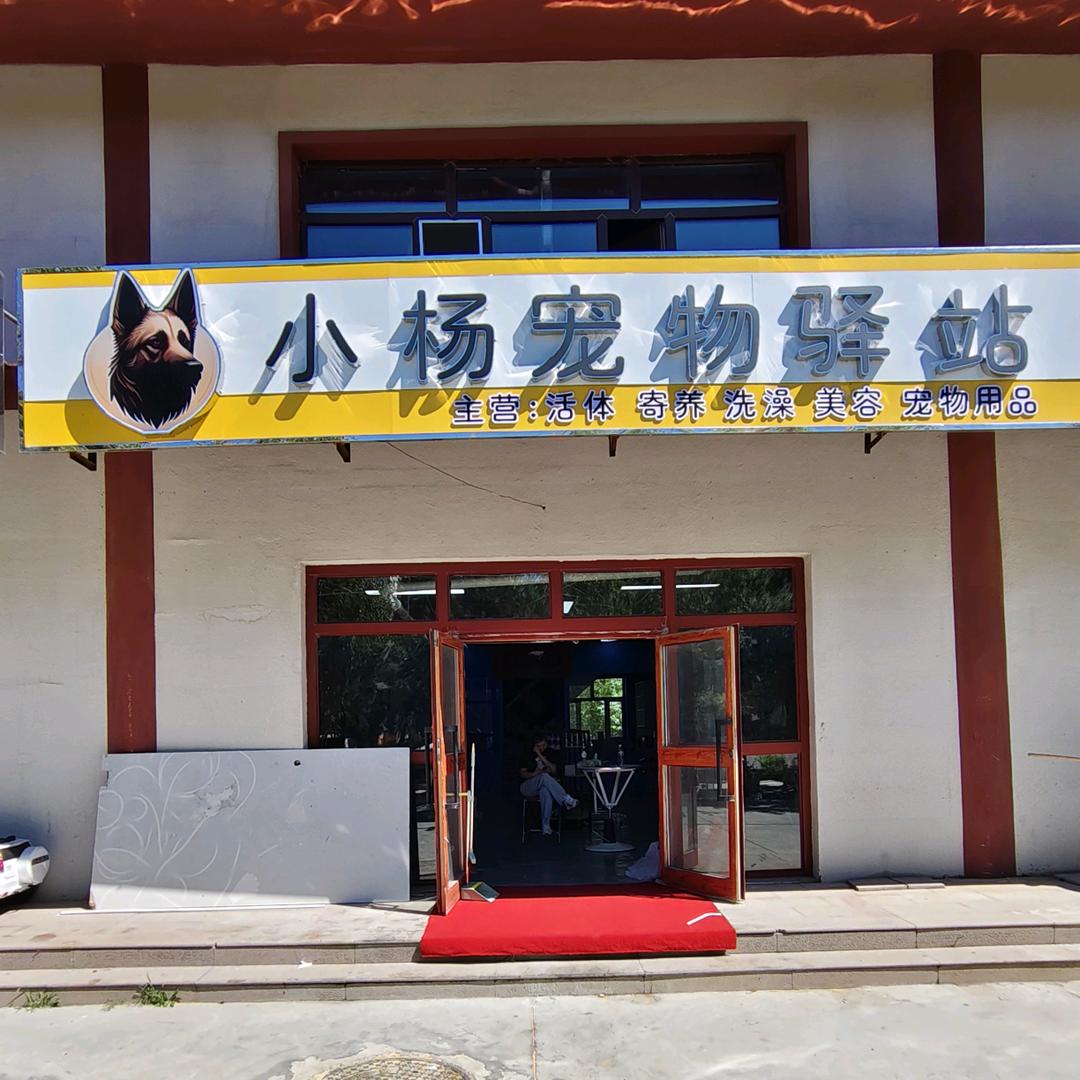新疆阿勒泰北屯小杨宠物驿站