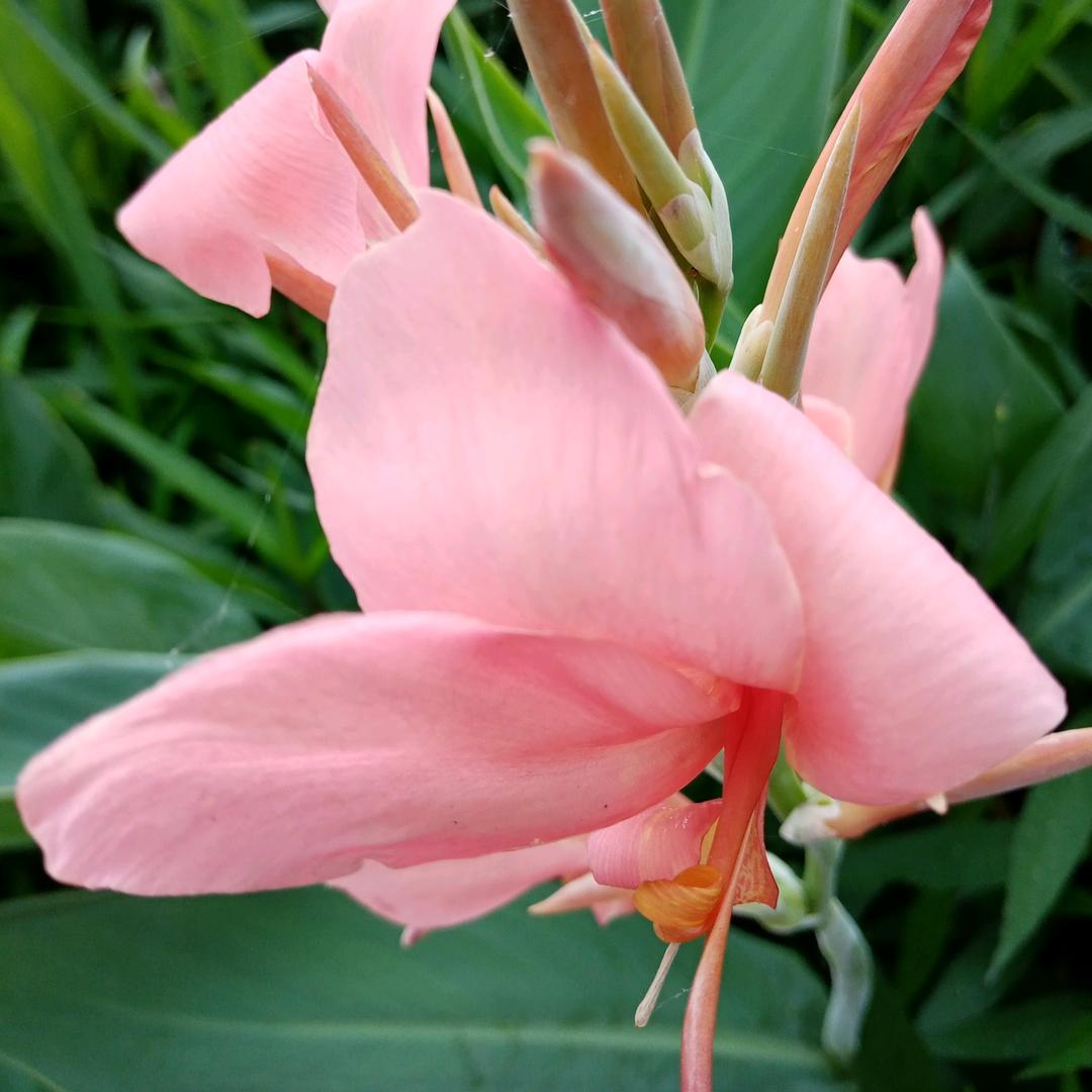 遇上你是我的缘