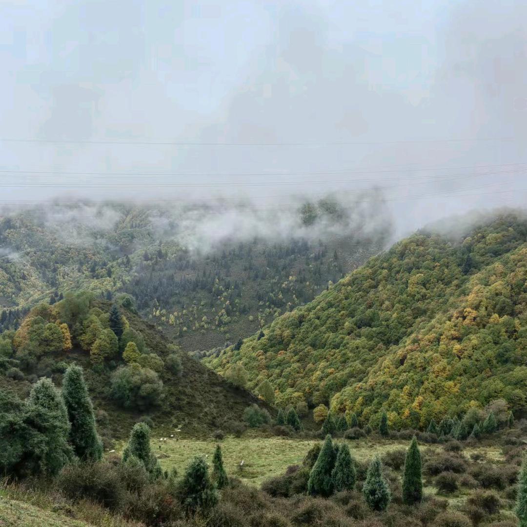 风雨过后是彩虹
