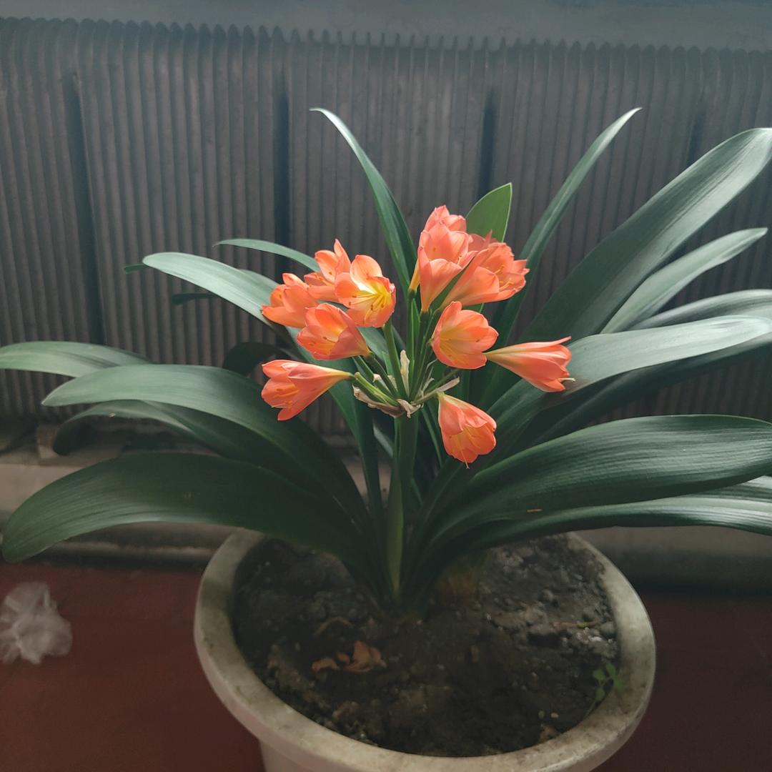 💖此号注销💞