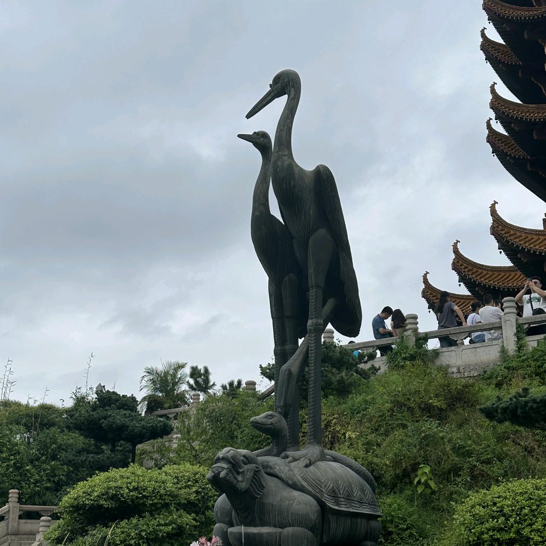 仗剑走天涯。