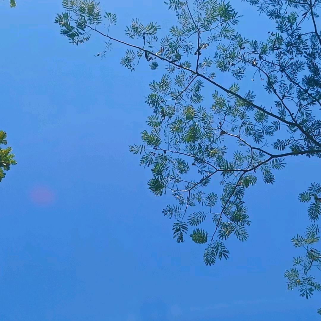 运气暴增先生