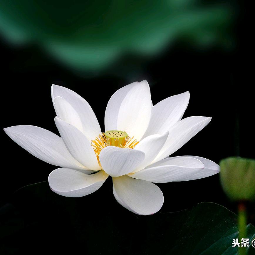 @韩城—燃气灶维修