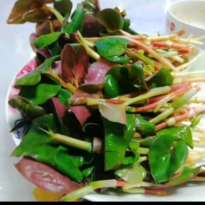 放松心情🍁🍁