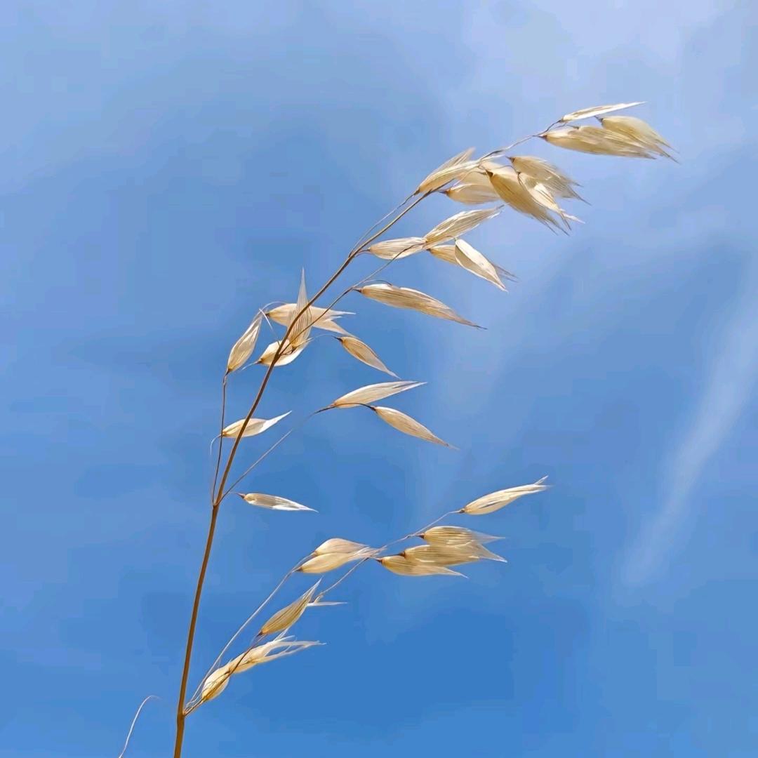 lucky