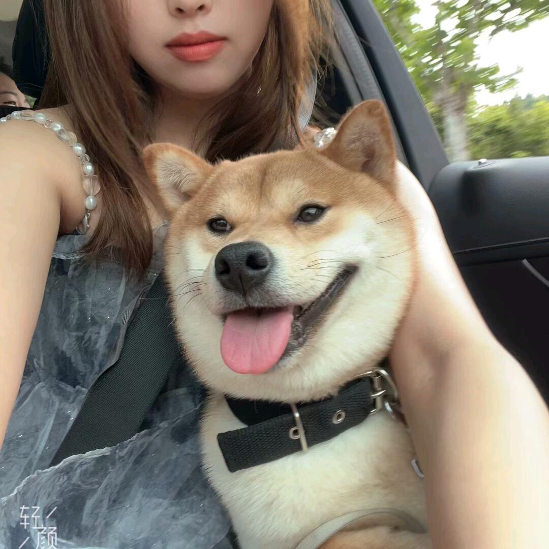 吃鸡蛋不吃鸡蛋心