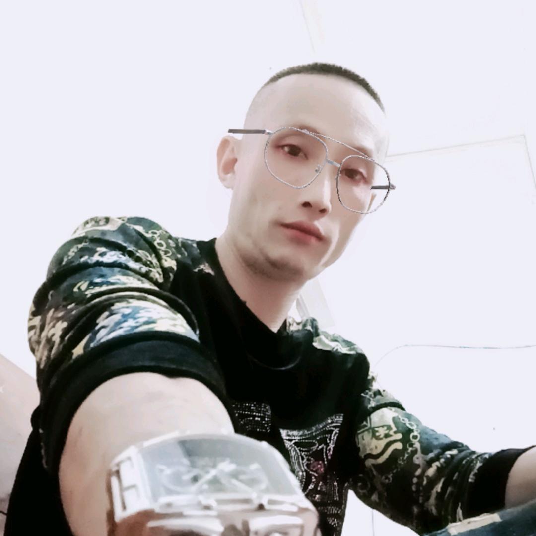 朴树