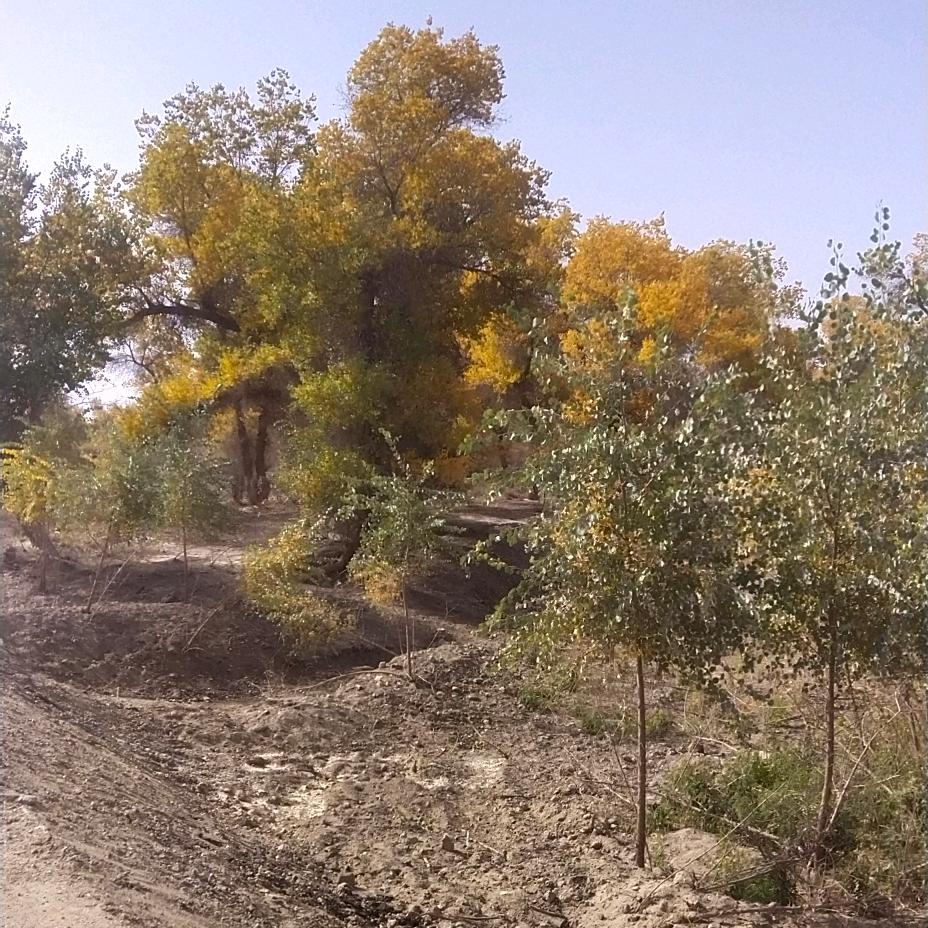 🌅美🌅好🌅时光