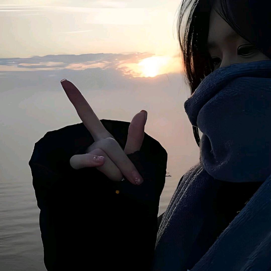 愚蠢的狐狸